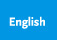 English Version